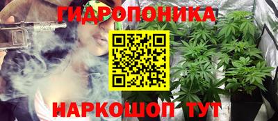 шишки Можайск