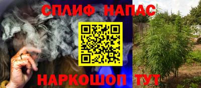 шишки Можайск