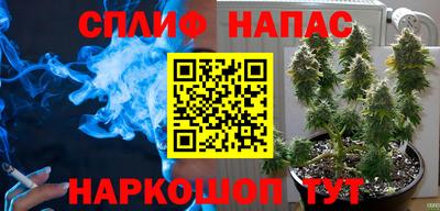 шишки Можайск