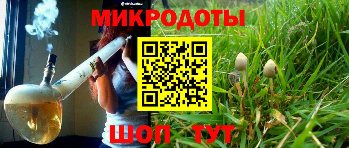 Корсаков  Галлюциногенные грибы Psilocybine cubensis  Вход с VPN 