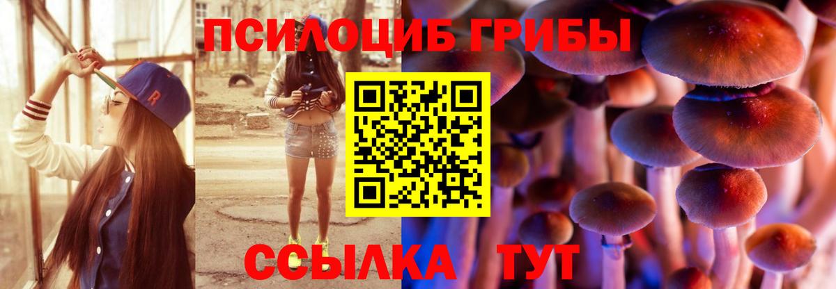 Галлюциногенные грибы Psilocybe Корсаков